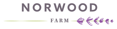 Norwood Lavender