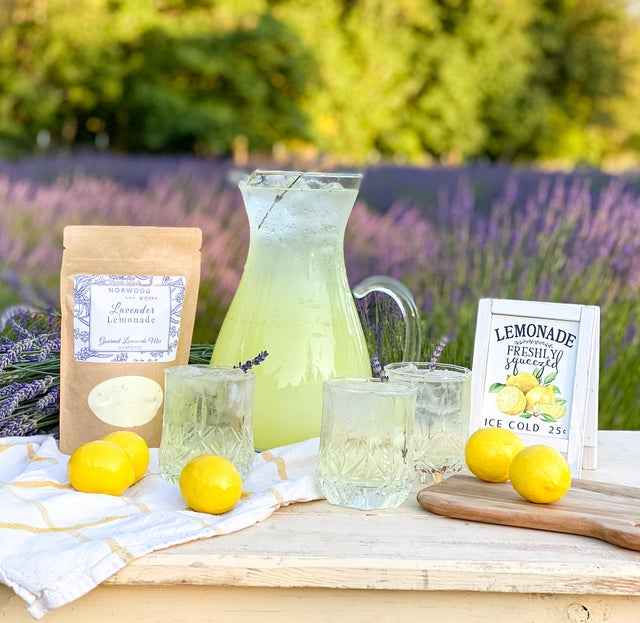 Lavender Lemon Brewed Tea (16 oz) - Case of 12 – Chicago French Press