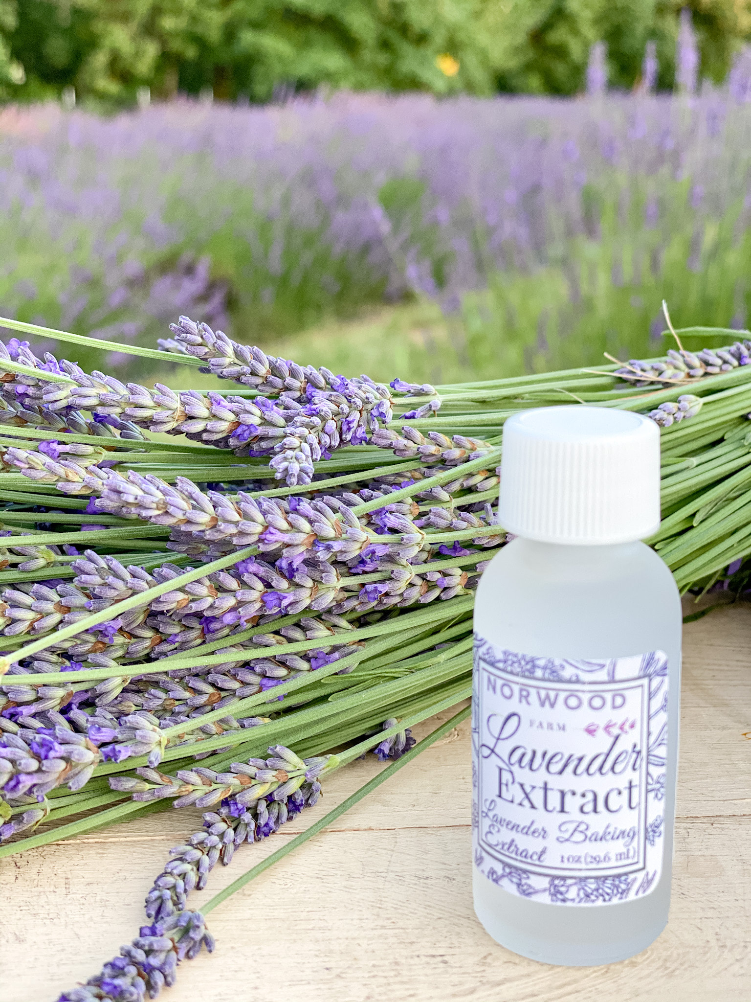 Culinary Lavender - includes free shipping